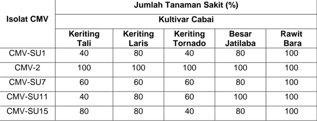 Tabel 3.  Jumlah Tanaman Sakit (%) pada Uji Virulensi Empat Isolat CMV  Asal Sumatera Utara 