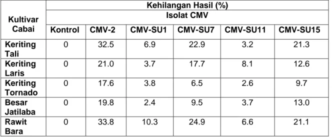 Tabel 4.  Rata-Rata Kehilangan Hasil (%) Setelah Empat Kali Panen pada Uji  Virulensi Empat Isolat CMV Asal Sumatera Utara 