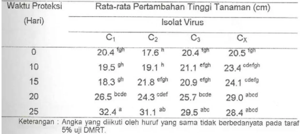 Tabel 6.  Rata-rata Pertambahan Tinggi Tanaman (cm) Empat Minggu Setelah  Inokulasi Virus Mosaik Ketimun Ganas pada Uji Proteksi Beberapa Isolat  Virus Mosaik Ketimun dan Waktu Proteksi 