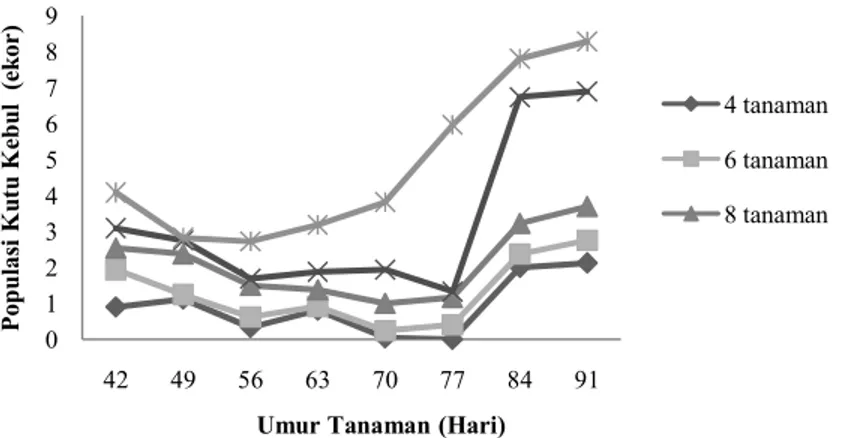 Gambar 1. Grafik rerata populasi kutu kebul (B. tabaci)  Penyakit pada Tanaman Tomat  