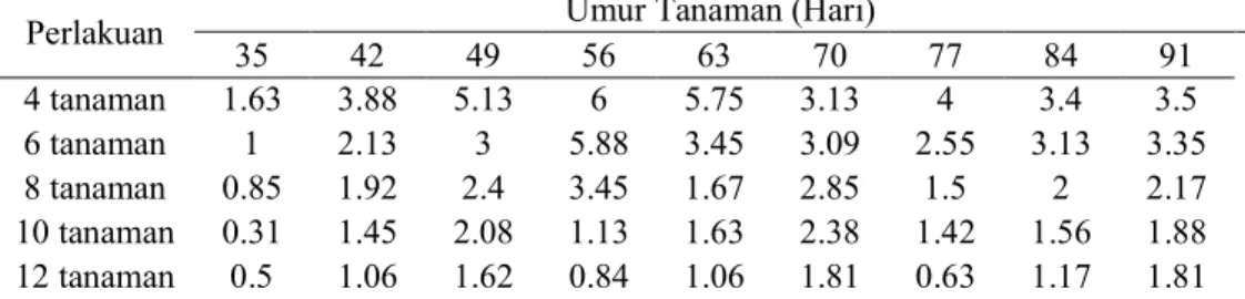 Tabel 3. Rerata bunga tomat tiap tanaman 