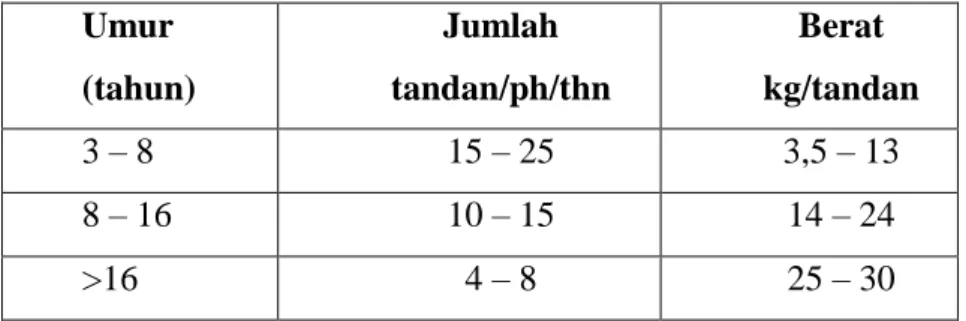 Tabel 2.2. Perkembangan Jumlah dan Berat Tandan  Umur  (tahun)  Jumlah  tandan/ph/thn  Berat  kg/tandan  3 – 8  15 – 25  3,5 – 13  8 – 16  10 – 15  14 – 24  &gt;16  4 – 8  25 – 30  Sumber: Lubis, 2008 