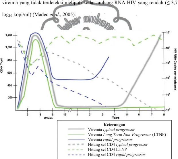 Gambar 3. Perkembangan Penyakit pada Infeksi  HIV-1 Typical Progressor, LNTP  dan Rapid Progressor Berdasarkan Hitung Sel T CD4 +  dan Viremia (Poropatich dan  Sullivan, 2011) 