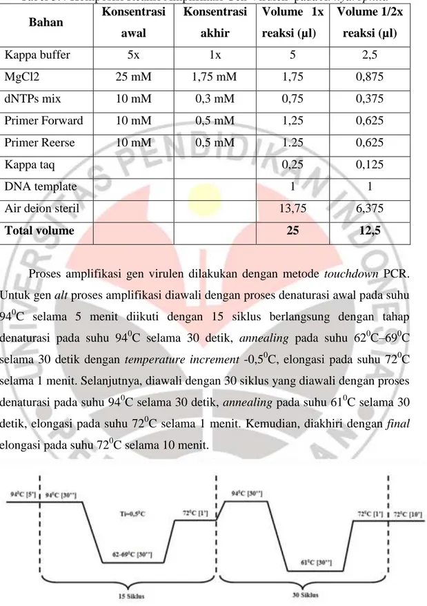 Tabel 3.4 Komposisi Reaksi Amplifikasi Gen Virulen  pada A. hydrophila  Bahan  Konsentrasi  awal  Konsentrasi akhir  Volume  1x reaksi (µl)  Volume 1/2x reaksi (µl)  Kappa buffer  5x  1x  5  2,5  MgCl2  25 mM  1,75 mM  1,75  0,875  dNTPs mix  10 mM  0,3 mM