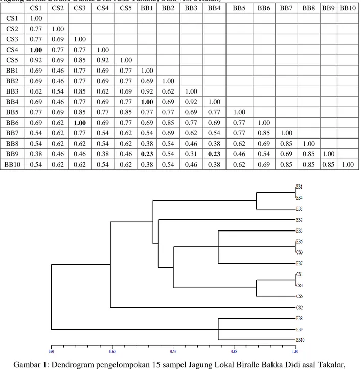 Tabel 2 : Matriks Kesamaan Genetik (CS1-CS5 = Jagung Karotenoid Syn 3 asal CIMMYT, BB1-BB10 =  Jagung Lokal Biralle Bakka Didi Asal Takalar, Sulawesi Selatan) 