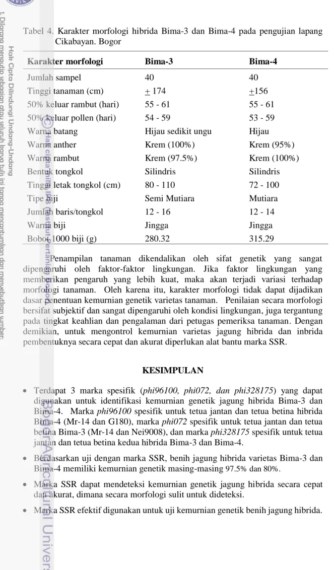 Tabel  4.  Karakter  morfologi  hibrida  Bima-3  dan  Bima-4  pada  pengujian  lapang  Cikabayan