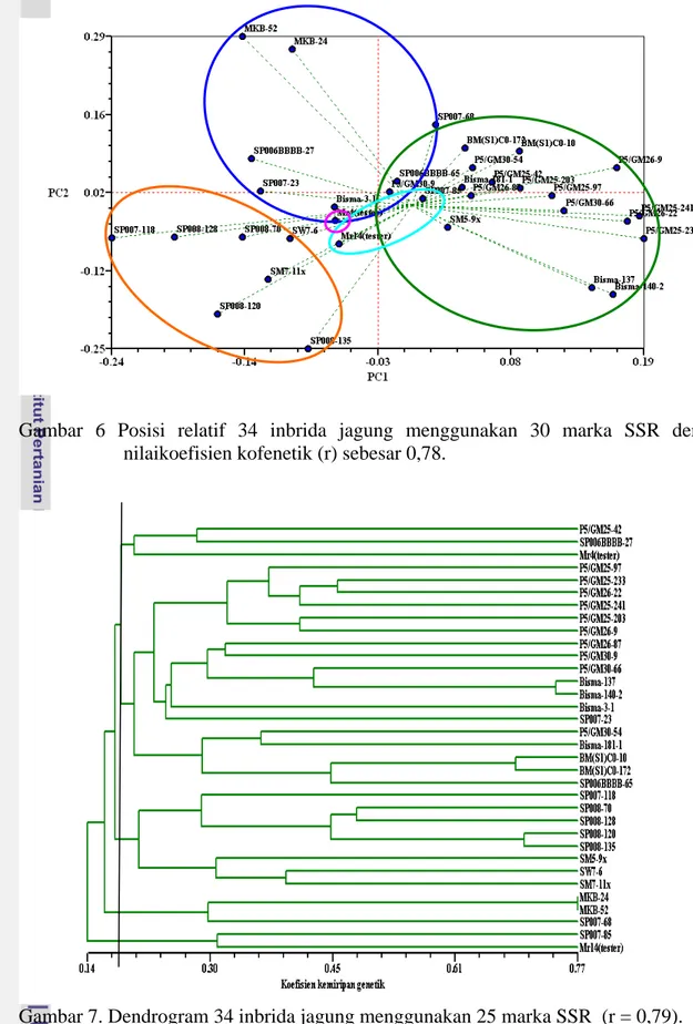 Gambar 6 Posisi relatif 34 inbrida jagung menggunakan 30 marka SSR dengan  nilaikoefisien kofenetik (r) sebesar 0,78