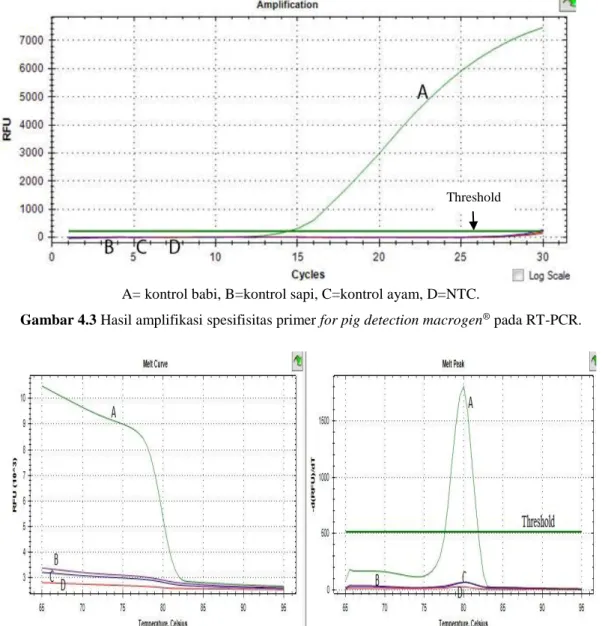 Gambar 4.3 Hasil amplifikasi spesifisitas primer for pig detection macrogen ®  pada RT-PCR