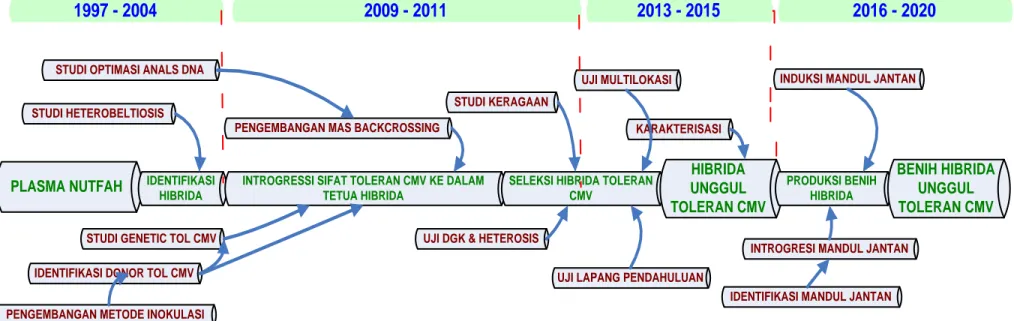 Gambar 2.  Roadmap penelitian perakitan hibrida unggul cabai merah toleran cucumber mosaic virus (CMV)