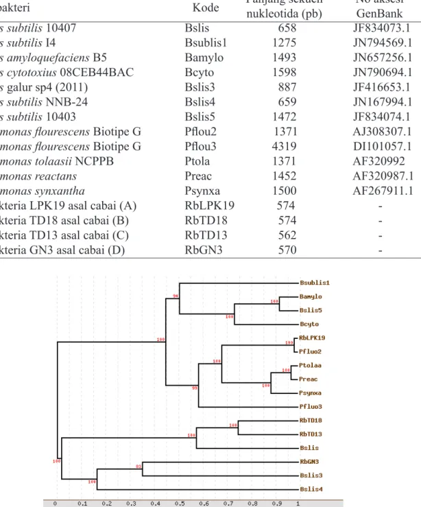 Gambar 2   Pohon filogenetik rizobakteria dari pertanaman cabai di Sumatera Barat berdasar- berdasar-kan sekuen fragmen DNA hasil amplifikasi dengan primer  27F dan 1525R (daerah 16S rRNA).