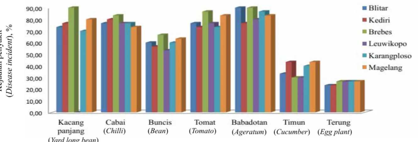 Gambar 4.  Kejadian penyakit akibat infeksi enam isolat Begomovirus cabai pada beberapa jenis tanaman  indikator (30 HSI) [Disease incident caused by infection of six chilli Begomovirus isolates on  indicator plant types (30 DAI)]