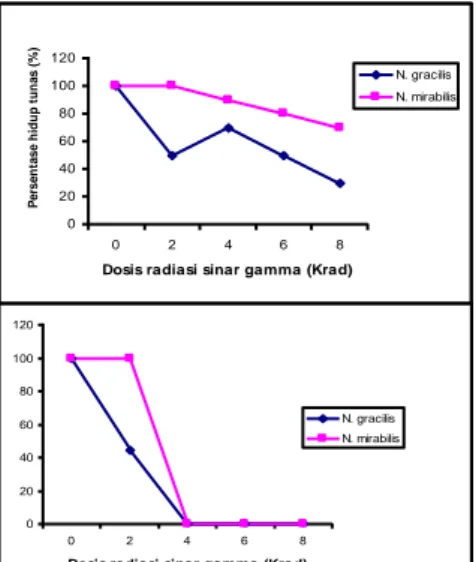 Gambar 1. Pengaruh  dosis radiasi sinar gamma  terhadap  persentase  hidup  tunas  Nepenthes  pada  umur  dua  bulan  setelah  perlakuan  (atas)  dan  umur  lima  bulan  pasca  perlakuan  pada  media recovery dan regenerasi (bawah)