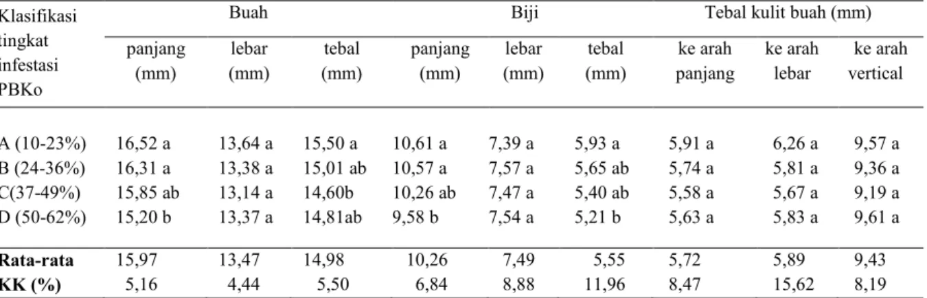 Tabel 2. Penampilan panjang, lebar dan tebal buah dan biji kopi berdasarkan tingkat infestasi hama  PBKo 