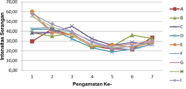 Grafik perkembangan intensitas serangan E. flavescens pada berbagai kombinasi perlakuan