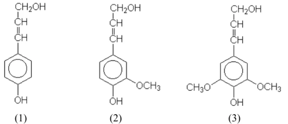 Gambar 1   Struktur  monomer  lignin.  (1)  p alkohol, (3) sinapil alkoh
