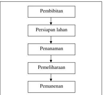 Gambar 3.  Bagan alir proses budidaya buah kakao di PTPN VIII Kebun  Rajamandala, Jawa Barat (Syarani, 1997) 