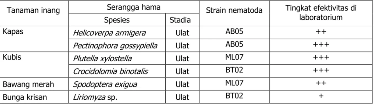 Tabel 1. Efektivitas beberapa isolat  Steinernema  spp. pada beberapa spesies serangga hama di laboratorium  Tanaman inang  Serangga hama  Strain nematoda  Tingkat efektivitas di 