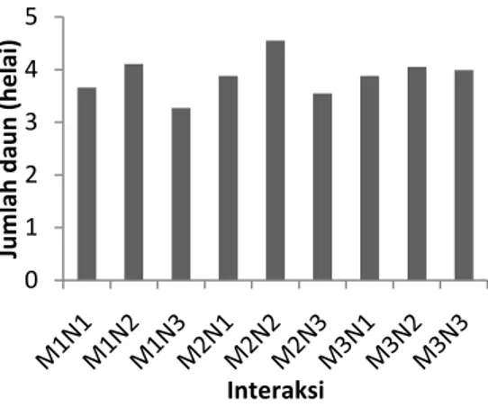 Gambar  1.    Rata  -  Rata  Tinggi  Tanaman  (cm)  dari   Perlakuan Interaksi    