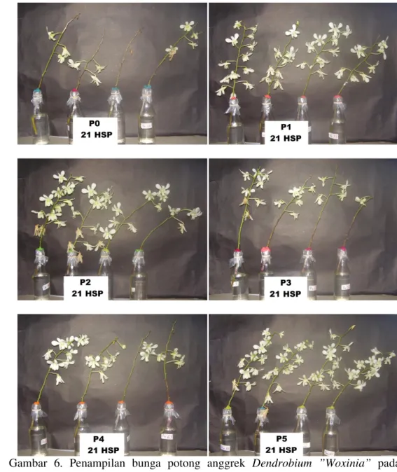 Gambar  6.  Penampilan  bunga  potong  anggrek  Dendrobium  ”Woxinia”  pada  berbagai  perlakuan pada 21 HSP 