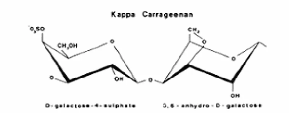 Gambar 2  Struktur kimia  kappa karaginan (cPKelco ApS 2004). 