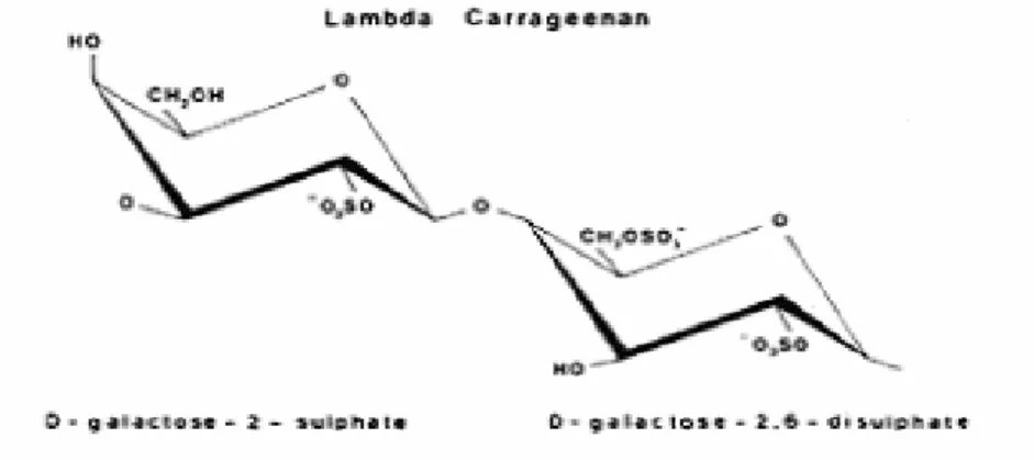 Gambar  4  Struktur dasar lambda karaginan (cPKelco ApS 2004).  