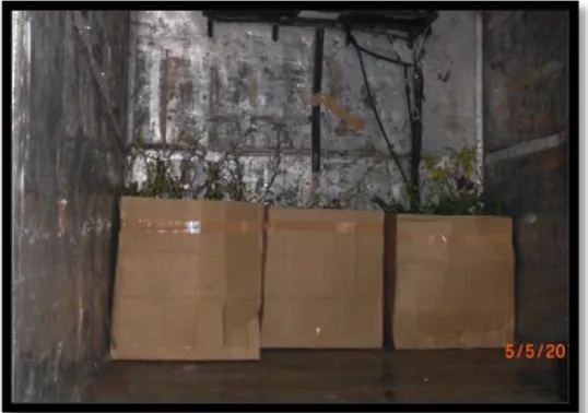 Gambar 17. Penyusunan boks pot plant dalam mobil boks
