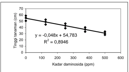 Gambar 1. Hubungan tinggi tanaman (cm) dan kadar daminosida (ppm) pada umur  12 minggu setelah pinching