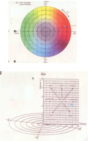 Gambar 6. Munsell color chart (L a b color chart) 