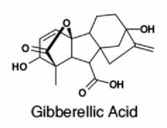 Gambar 2. Struktur Gibberellic acid (www.wildflowerfinder.org.uk, 2016).