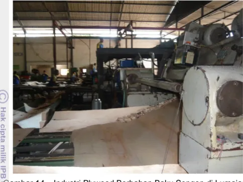 Gambar 14. Industri Plywood Berbahan Baku Sengon di Lumajang