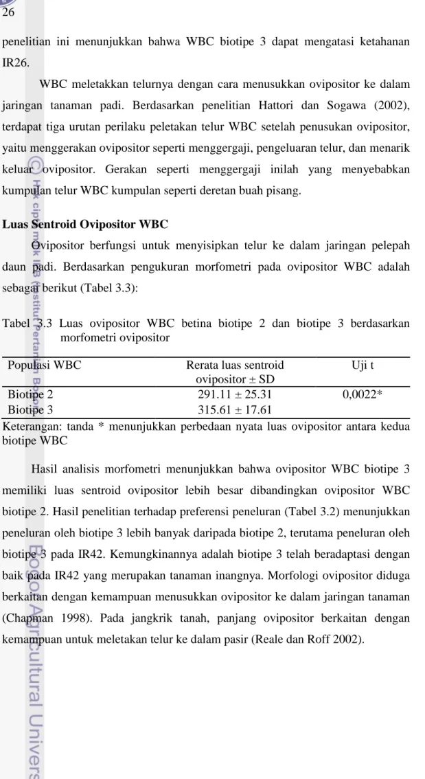 Tabel 3.3 Luas ovipositor WBC  betina biotipe 2  dan  biotipe 3  berdasarkan  morfometri ovipositor 