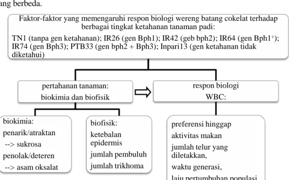 Gambar 1.1 Skema faktor-faktor yang mempengaruhi respon WBC terhadap  ketahanan varietas tanaman padi