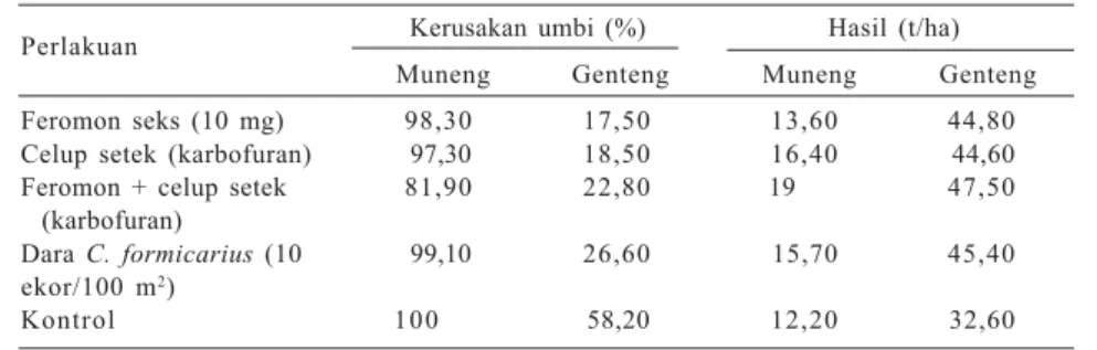 Tabel 3. Kerusakan umbi dan hasil ubi jalar dengan penggunaan seks feromon dan pencelupan setek ke dalam larutan insektisida.