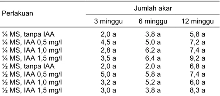 Tabel 1.  Pengaruh pemberian IAA terhadap jumlah akar iles-iles pada  umur 3, 6, dan 12 minggu dalam media dasar MS 