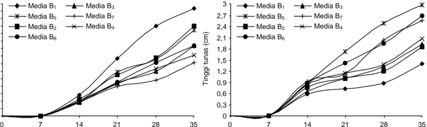 Gambar 5. Rata-rata tinggi tunas tebu varietas Bulu Lawang (kiri) dan PS 951 (kanan) pada berbagai formulasi media hingga umur 35 hari