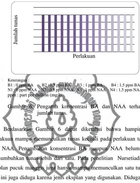 Gambar  6.  Pengaruh  konsentrasi  BA  dan  NAA  terhadap  jumlah tunas. 