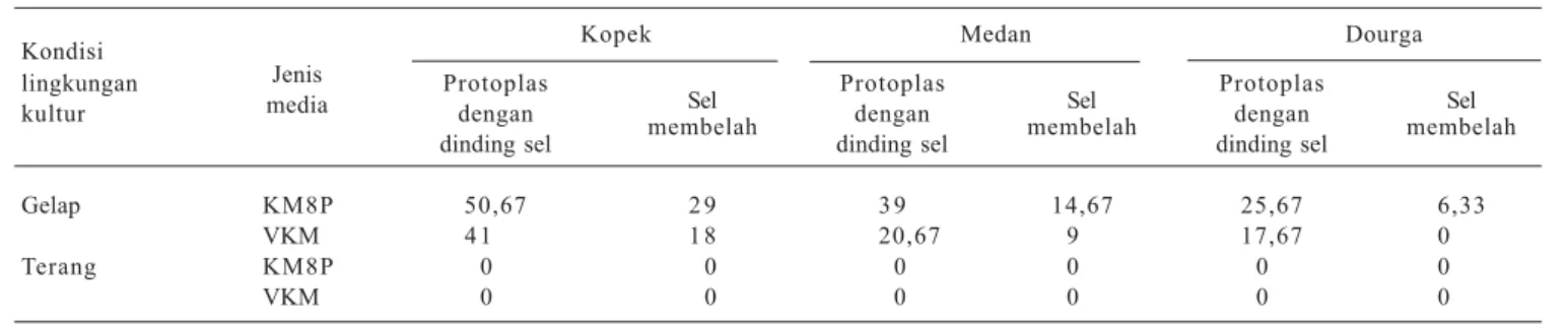 Tabel 6. Rata-rata jumlah protoplas terung dari setiap gram  da-un setelah inkubasi 16 jam dalam larutan selulosa 0,50% macerozim 0,50%.
