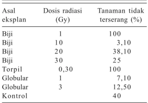 Tabel 3. Pertumbuhan tunas panili pada media seleksi silang filtrat Fusarium oxysporum setelah diseleksi menggunakan asam fusarat.