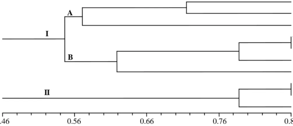 Gambar 7.  Dendogram  berdasarkan  karakter  morfologi  hasil  analisis  gerombol  dengan  metode UPGMA