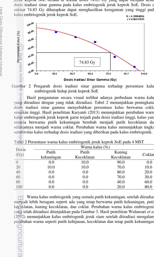Gambar  2  Pengaruh  dosis  iradiasi  sinar  gamma  terhadap  persentase  kalus  embriogenik hidup jeruk keprok SoE 