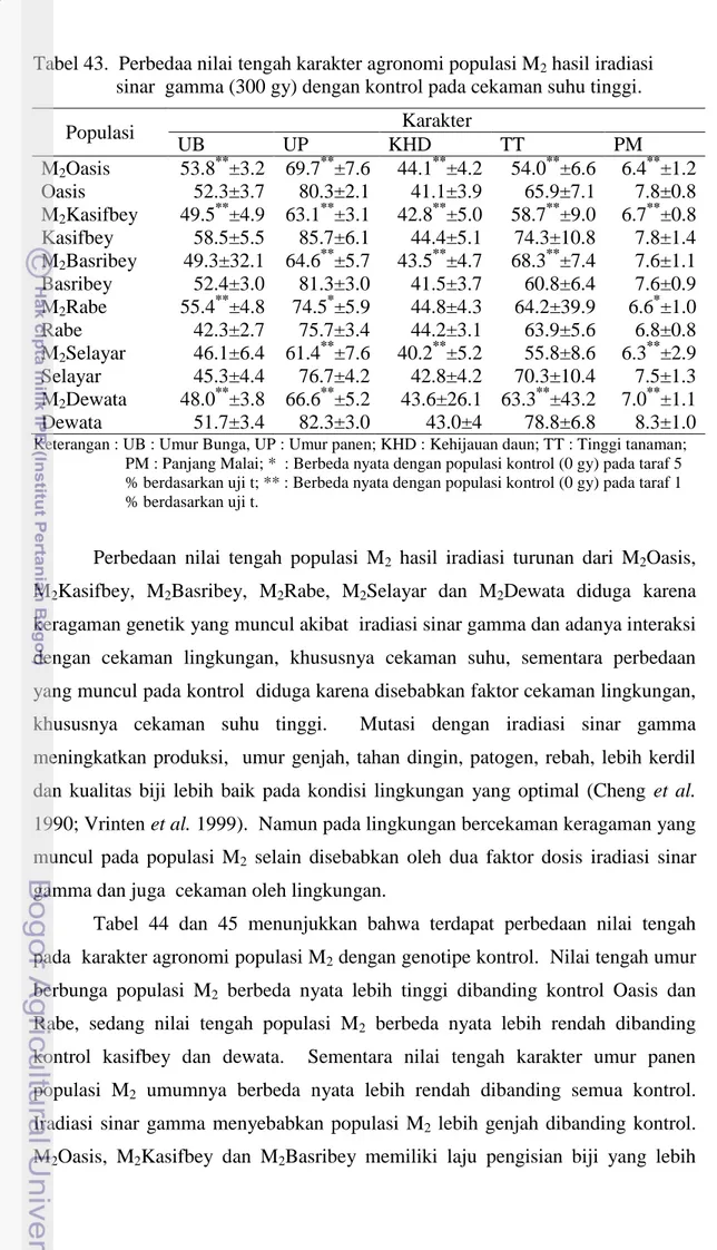 Tabel 43.  Perbedaa nilai tengah karakter agronomi populasi M 2  hasil iradiasi   sinar  gamma (300 gy) dengan kontrol pada cekaman suhu tinggi