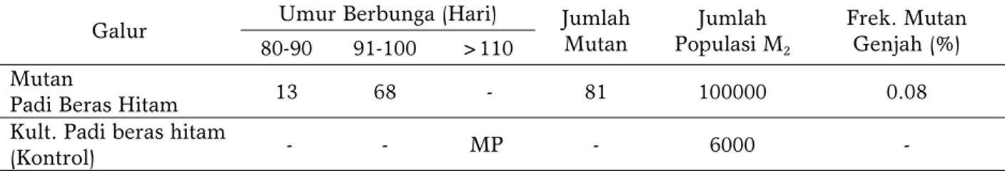 Tabel 3. Mutan genjah pada populasi M 2  berasal dari kultivar padi beras hitam lokal Sumatera Barat yang diiradiasi 200 Gy