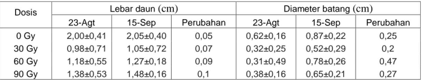 Tabel 4. Hasil observasi lebar daun  dan diameter batang P. amabilis pasca irradiasi sinar gamma 