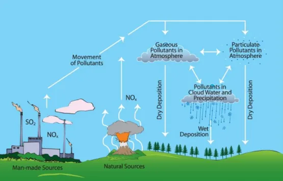 Gambar 4-1: Proses deposisi basah dan kering yang mencuci atmosfer dari senyawa-senyawa aerosol  yang bersifat asam 