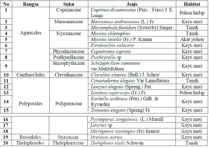 Tabel 1. Jenis-jenis Basidiomycota di Kawasan Air Terjun Curug Pandan Kabupaten Lahat 