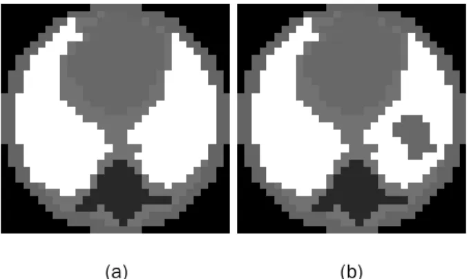 Gambar 3 Objek numeric (a) rongga dada dengan paru -paru normal (b) rongga dada  dengan paru-paru mengandung kanker 