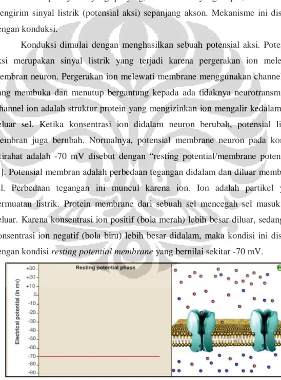 Gambar 2.5 Resting Potential [3]. 