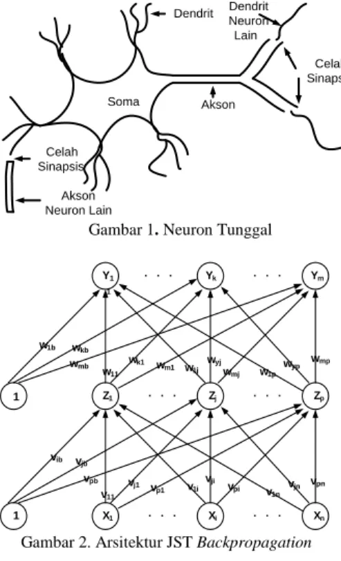 Gambar 1. Neuron Tunggal 