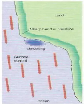 Gambar 4. Mekanisme terjadinya upwelling oleh tikungan tajam garis pantai  (Thurman and Trujillo, 2004) 