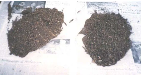Gambar 5  Bahan organik kompos “tumaritis”.  